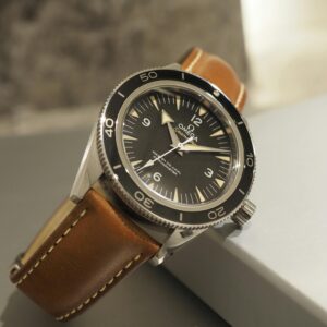 Home starlight succulent